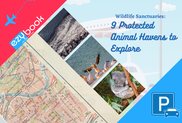 9 Protected Animal Havens to Explore